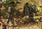 सुकमा में नक्सलियों का कहर: माड़वी हिड़मा के गांव में पूर्व सरपंच की नृशंस हत्या