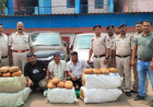 रायगढ़ में गांजा तस्करों पर पुलिस की बड़ी कार्रवाई: दो कारों में 105 किलो गांजा बरामद, तीन तस्कर गिरफ्तार