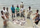 CG : छत्तीसगढ़ में 16 जून से 15 अगस्त तक मछली पकड़ने पर रोक, उल्लंघन करने पर मिलेगी सजा