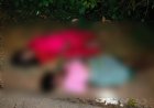 CG : तेज रफ्तार का कहर — 18 सवारियों से भरी गाड़ी पलटी, 2 की मौके पर मौत, 5 गंभीर