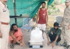 सवा लाख रुपये के  गांजा की तस्करी करते 2 अन्तर्राज्जीय तस्कर पुलिस की गिरफ्त में