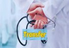 CG Transfer : छत्तीसगढ़ में देर रात 58 मेडिकल अफसरों का हुआ तबादला, देखें किन्हें मिली कहां की जिम्मेदारी
