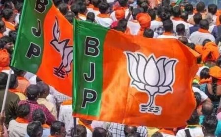 बीजेपी जल्द करने वाली है राष्ट्रीय और राज्यों में नए अध्यक्षों की नियुक्ति