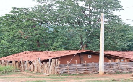 रायपुर : सुशासन की रोशनी से जगमगाया मुदवेंडी गांव...नियद नेल्लानार योजना बनी क्रांतिकारी बदलाव की वाहक