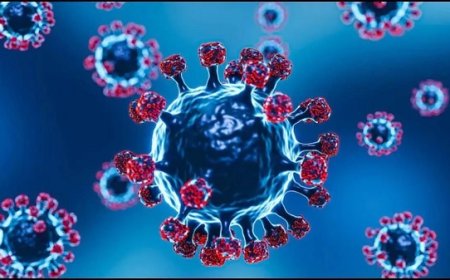 छत्तीसगढ़ में फिर बढ़ा कोरोना का खतरा, JN.1 वैरिएंट से 5 नए मरीज मिले; 45 एक्टिव केस