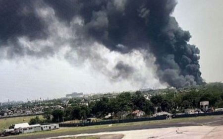 प्लेन क्रैश के बाद लगी आग से घटनास्थल का पारा पंहुचा 1000° सेल्सियस तक, जानवर-पक्षी जो जद में आए सब खाक