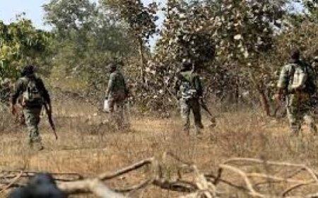 Kanker: कांकेर में सुरक्षाकर्मियों के साथ मुठभेड़ में एक महिला नक्सली ढेर; कई के मारे जाने की खबर,हथियार भी बरामद