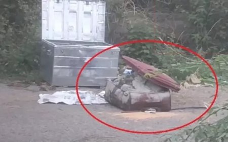 राजधानी के डीडी नगर में युवक की हत्या कर ट्रंक में सीमेंट के साथ सूटकेस में डाला शव,इलाके में सनसनी