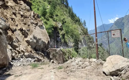बदरीनाथ राष्ट्रीय राजमार्ग के पिनौला में चट्टान से टूटकर गिरे बोल्डर, यात्रा बाधित, तीर्थयात्रियों को रोका गया