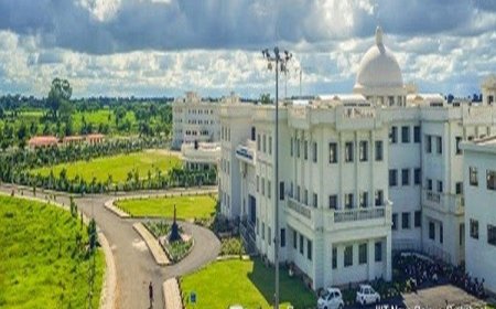 अंतर्राष्ट्रीय सूचना प्रौद्योगिकी संस्थान आईआईआईटी के डॉ. व्यास निदेशक नियुक्त,आदेश जारी