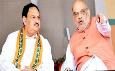 छत्तीसगढ़ भाजपा का मंथन: मैनपाट में 7 से 9 जुलाई तक चिंतन शिविर, जेपी नड्डा और अमित शाह रहेंगे शामिल