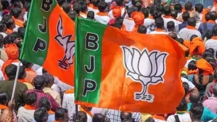 बीजेपी जल्द करने वाली है राष्ट्रीय और राज्यों में नए अध्यक्षों की नियुक्ति