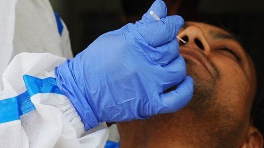 छत्तीसगढ़ में फिर बढ़े कोरोना के मरीज : एक्टिव केस की संख्या पहुंची 50,बिलासपुर, रायपुर और दुर्ग में मिले नए मरीज