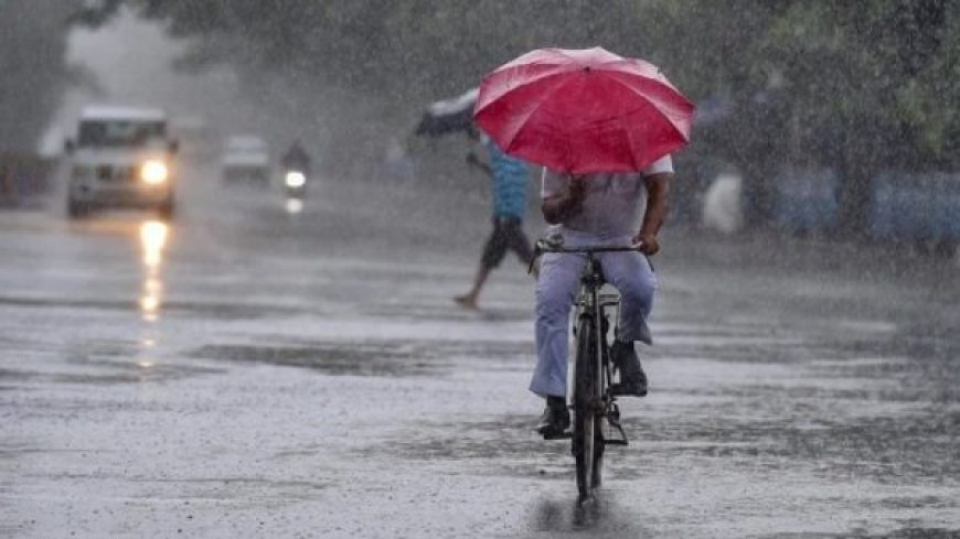 छत्तीसगढ़ में मानसून ने पकड़ी रफ़्तार: रायपुर-दुर्ग समेत कई जिलों में जमकर होगी बारिश,मिलेगी गर्मी से राहत