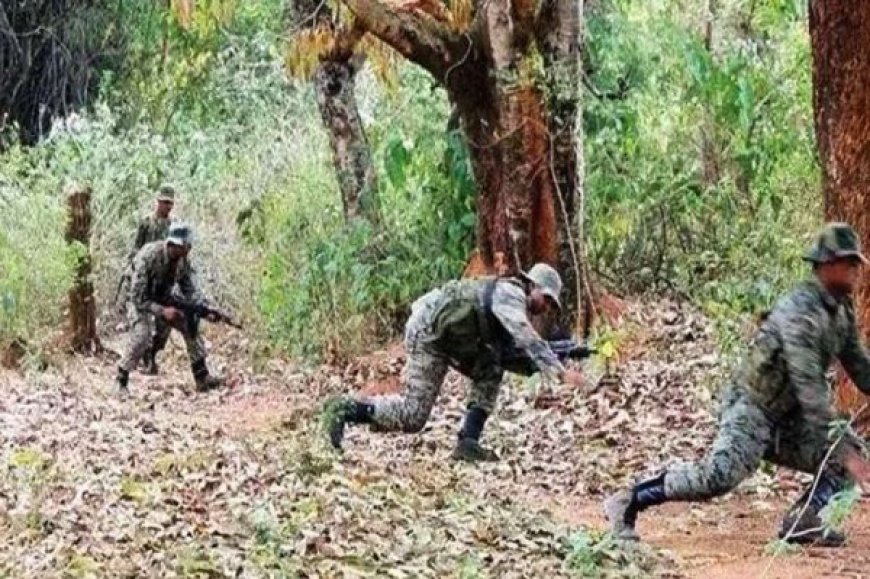 छत्तीसगढ़ के सुकमा और आंध्र सीमा पर नक्सली मुठभेड़, केंद्रीय कमेटी मेंबर समेत तीन माओवादी ढेर