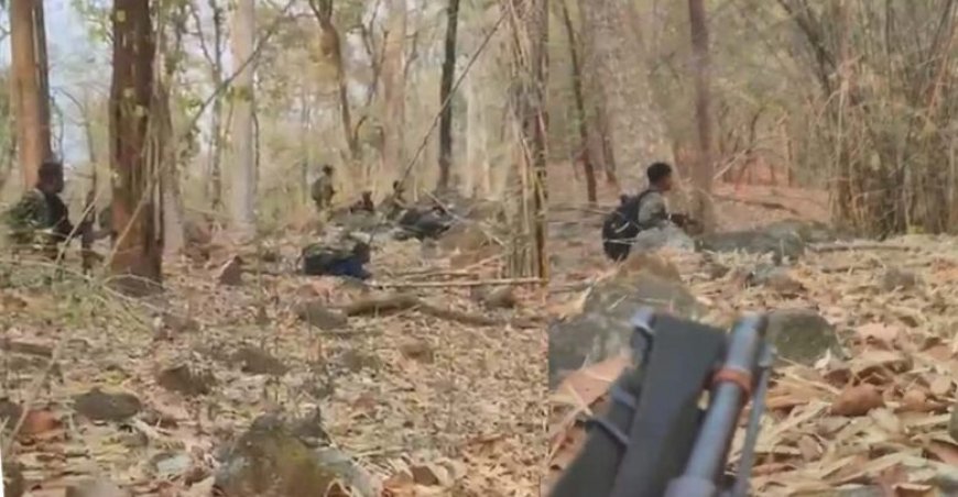 CG Breaking: अबूझमाड़ में सुरक्षाबलों और नक्सलियों के बीच मुठभेड़, दो महिला नक्सली ढेर,  हथियार बरामद