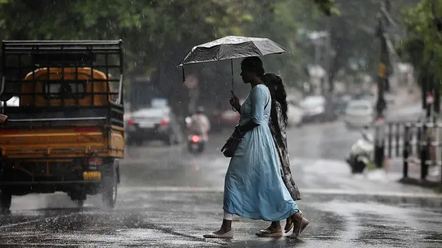 केरल में भारी मॉनसून बारिश से कई जिले जलमग्न, 7 जिलों में ऑरेंज अलर्ट