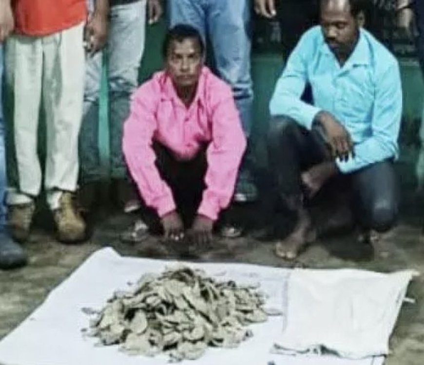 वन्यजीव तस्करी मामले में विभाग की बड़ी कार्रवाई : करोड़ों की पैंगोलिन की स्केल बरामद, दो तस्कर गिरफ्तार