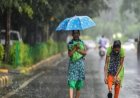 छत्तीसगढ़ में मानसून एक्टिव: अगले 5 दिनों तक बारिश के आसार, कुछ इलाकों में भारी वर्षा की चेतावनी