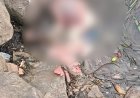 CG BREAKING : शिवनाथ नदी किनारे मिला नवजात का शव, इलाके में फैली सनसनी