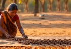 मुख्यमंत्री विष्णुदेव साय के नेतृत्व में छत्तीसगढ़ में लिया गया बड़ा निर्णय : उद्योग विभाग को सौंपा जाएगा जशप्योर का ट्रेडमार्क