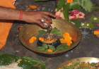 सावन में करना चाहते हैं रुद्राभिषेक , तो जान लीजिए रुद्राभिषेक के लिए सबसे अच्‍छी तिथियां