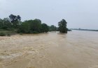 लगातार हो रही बारिश से अंबागढ़ चौकी में बाढ़ की स्थिति, नदी किनारे के घरों को कराया गया खाली