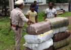 गांजे की बड़ी खेप पकड़ी गई : राजनांदगांव पुलिस ने दुर्ग रोड में ट्रक से बरामद किया 21 लाख का गांजा