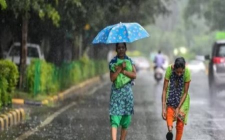 छत्तीसगढ़ में मानसून एक्टिव: अगले 5 दिनों तक बारिश के आसार, कुछ इलाकों में भारी वर्षा की चेतावनी