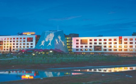 महिला एवं बाल विकास विभाग में अफसरों के हुए ताबदले, प्रभार वाली संस्कृति यहां भी शुरू…!