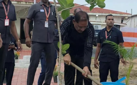 CM विष्णुदेव साय ने मैनपाट में लगाया बरगद का पौधा, बोले- "हरियाली है धरती का श्रृंगार"