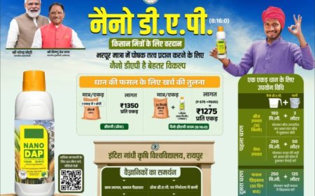 नैनो डीएपी किसानों के लिए ठोस डीएपी उर्वरक का स्मार्ट विकल्प