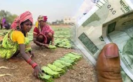 छत्तीसगढ़ तेंदूपत्ता बोनस घोटाला: DFO समेत 14 आरोपियों पर 4500 पन्नों की चार्जशीट दायर