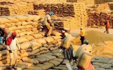 छत्तीसगढ़ को केंद्र से बड़ी सौगात: चावल उपार्जन लक्ष्य 70 से बढ़ाकर 78 लाख मीट्रिक टन