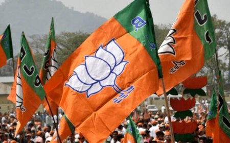 भाजपा ने घोषित की नई जिला कार्यकारिणी, 16 पदाधिकारियों को मिली जिम्मेदारी