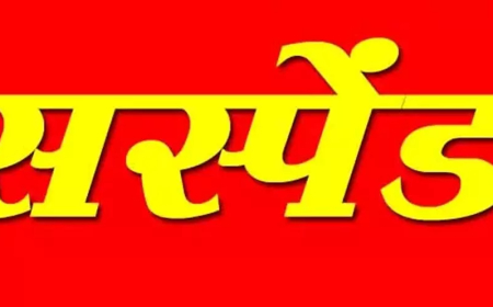 बलौदाबाजार में लापरवाही पर बिजली विभाग के AE और JE निलंबित