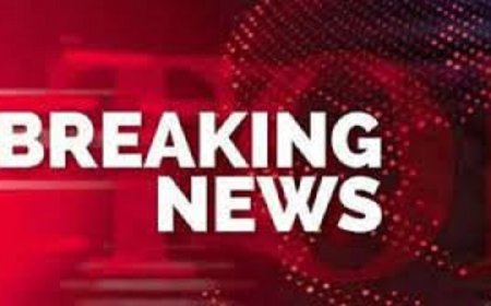 छत्तीसगढ़ वन विभाग में बड़ा फेरबदल, 41 AFC और 67 रेंजर्स के तबादले...देखिए पूरी लिस्ट