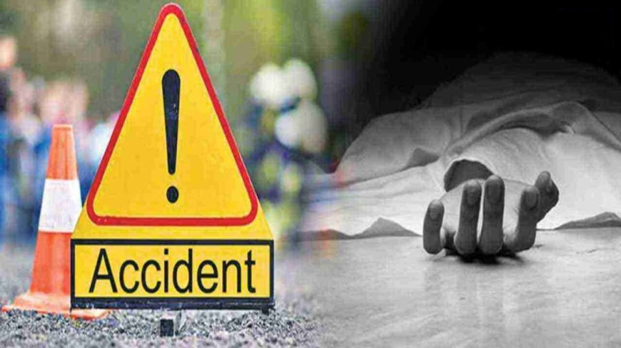 कटघोरा-अंबिकापुर हाइवे पर तेज रफ्तार पिकअप की टक्कर, एक की मौत, दो गंभीर