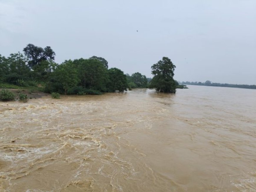 लगातार हो रही बारिश से अंबागढ़ चौकी में बाढ़ की स्थिति, नदी किनारे के घरों को कराया गया खाली