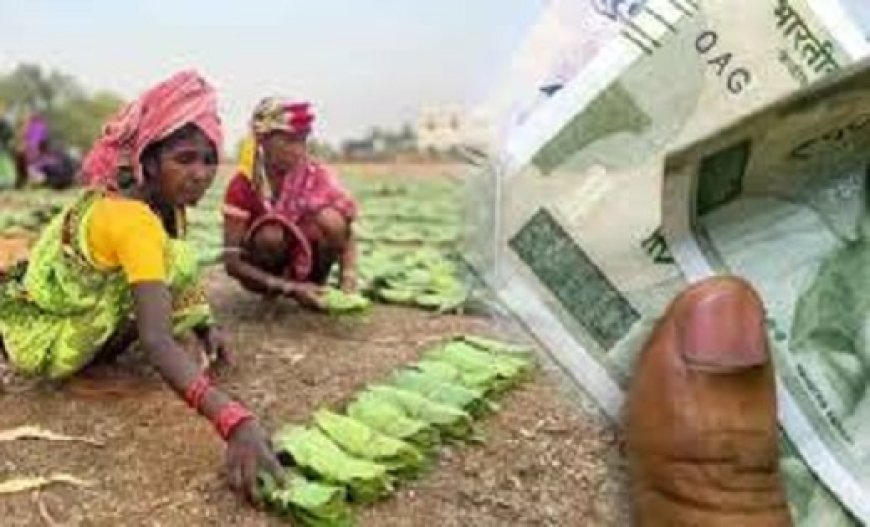 छत्तीसगढ़ तेंदूपत्ता बोनस घोटाला: DFO समेत 14 आरोपियों पर 4500 पन्नों की चार्जशीट दायर