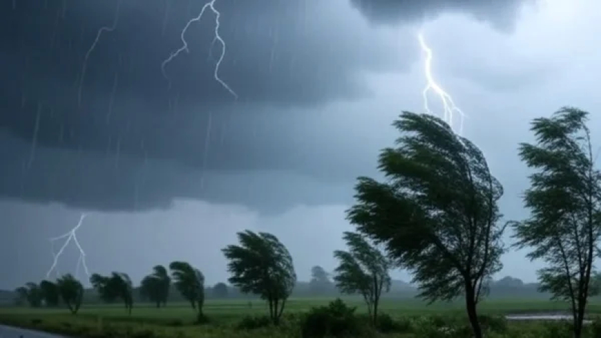 छत्तीसगढ़ के कई जिलों में आज बिजली गिरने के साथ जोरदार बारिश की संभावना, मौसम विभाग का अलर्ट