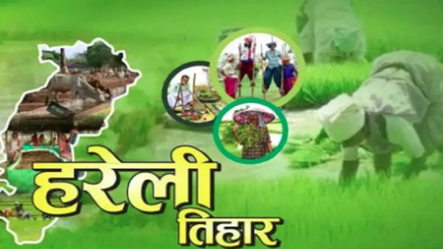 छत्तीसगढ़ की सांस्कृतिक पहचान है हरेली त्योहार – जानिए क्यों विशेष है यह त्यौहार