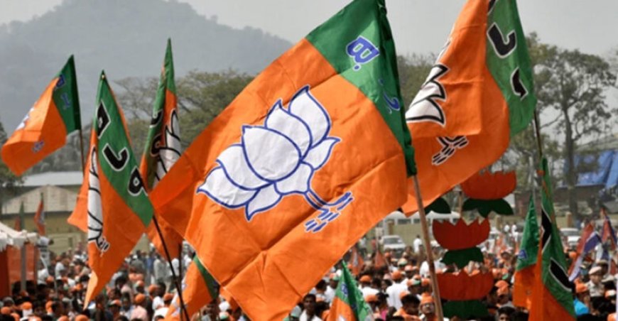 भाजपा ने घोषित की नई जिला कार्यकारिणी, 16 पदाधिकारियों को मिली जिम्मेदारी