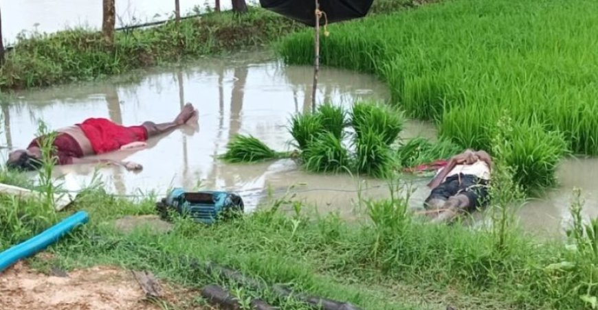 खेत में करंट की चपेट में आए किसान दंपति, मौके पर हुई मौत