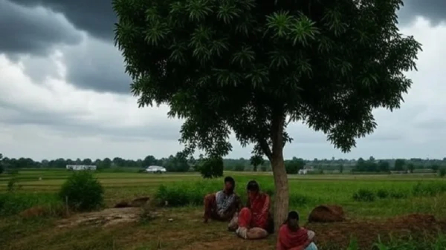 छत्तीसगढ़ में मानसून की रफ़्तार पड़ी धीमी, 31 जुलाई के बाद होगी बारिश में कमी, फिर बदलेगा मौसम