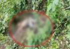 ब्रेकिंग : पूर्व विधायक के भाई की जंगल में मिली सड़ी-गली लाश, जताई जा रही ये आशंका, जांच में जुटी पुलिस…