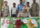 2 लाख के ईनामी नक्सली सहित 3 नक्सली गिरफ्तार
