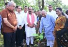 प्रकृति को मां जैसा सम्मान दें :  अरूण साव
