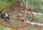 कवर्धा में दर्दनाक हादसा: हाईटेंशन तार की चपेट में आने से पिता-पुत्र की मौत