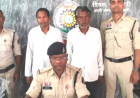 कोरबा: जमीन हड़पने की साजिश का खुलासा, फर्जी मृत्यु प्रमाण पत्र बनवाने वाले दो भाई गिरफ्तार